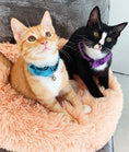 Load image into Gallery viewer, Calming Cat Bed