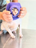 Load image into Gallery viewer, Happy Hoodie Extra Small (fits most cats! Unless their head is enormous!)