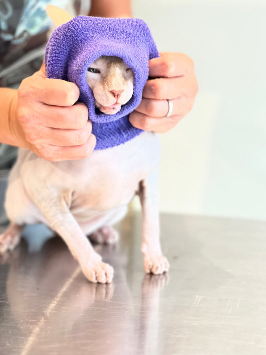 Happy Hoodie Extra Small (fits most cats! Unless their head is enormous!)