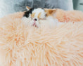 Load image into Gallery viewer, Calming Cat Bed