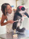 Load image into Gallery viewer, Happy Hoodie® Small (fits cats with very large heads!)