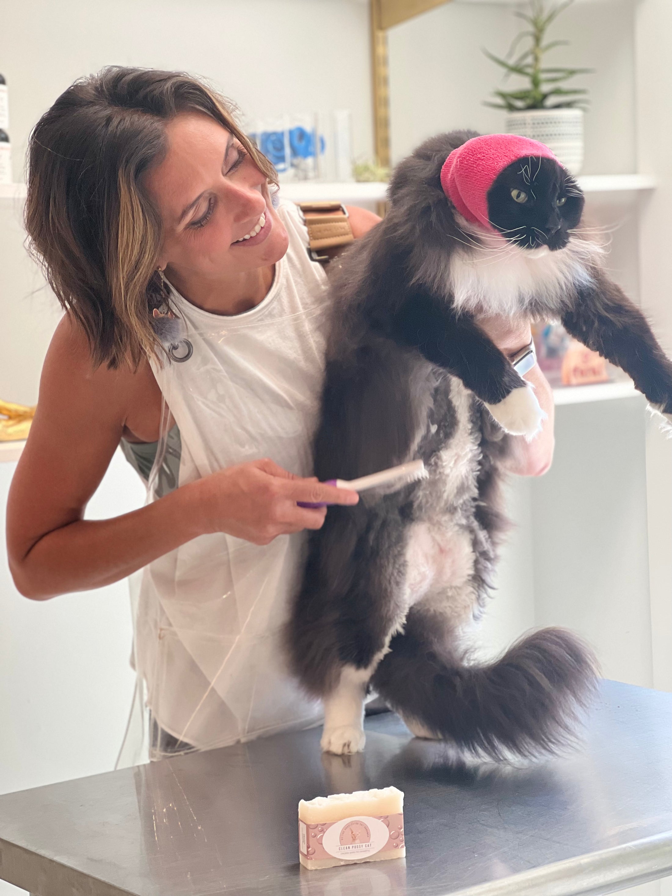 Happy Hoodie® Small (fits cats with very large heads!)