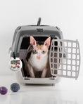 Load image into Gallery viewer, Carrier tag/luggage tag