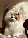 Load image into Gallery viewer, PRE-ORDER - Clean Pussy Cat - Ragdoll Shampoo Bar