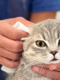 Load image into Gallery viewer, Pineapple Cat Wipes