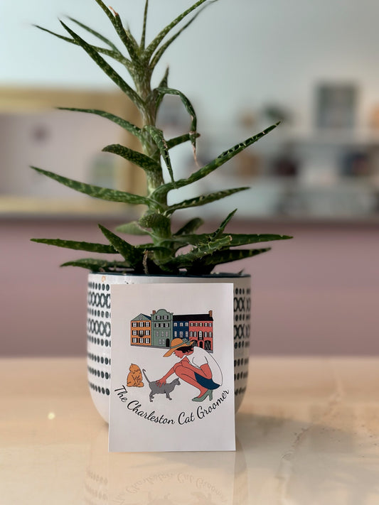 The Charleston Cat Groomer Sticker