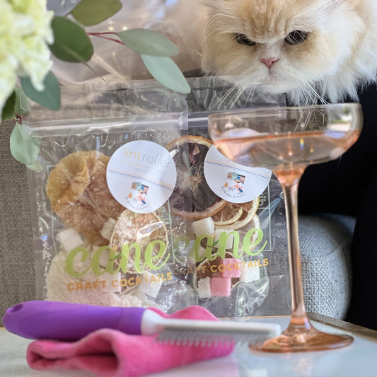 The Liquid Courage Cat Bundle