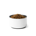 Load image into Gallery viewer, Tacos & Tequila Cat Food Bowls