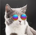 Load image into Gallery viewer, Krazy Kitty Sunglasses *Preorder*