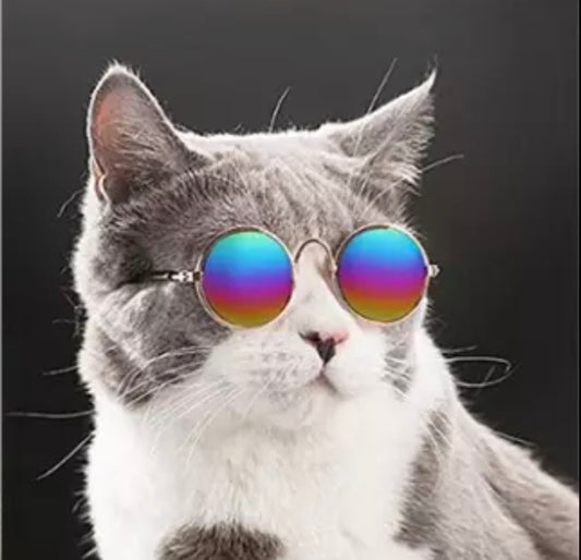 Krazy Kitty Sunglasses *Preorder*