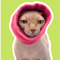Load image into Gallery viewer, The Short-Haired Cat Bundle