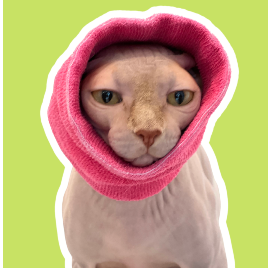 The Short-Haired Cat Bundle