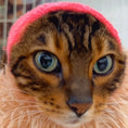 Load image into Gallery viewer, Happy Hoodie® Small (fits cats with very large heads!)
