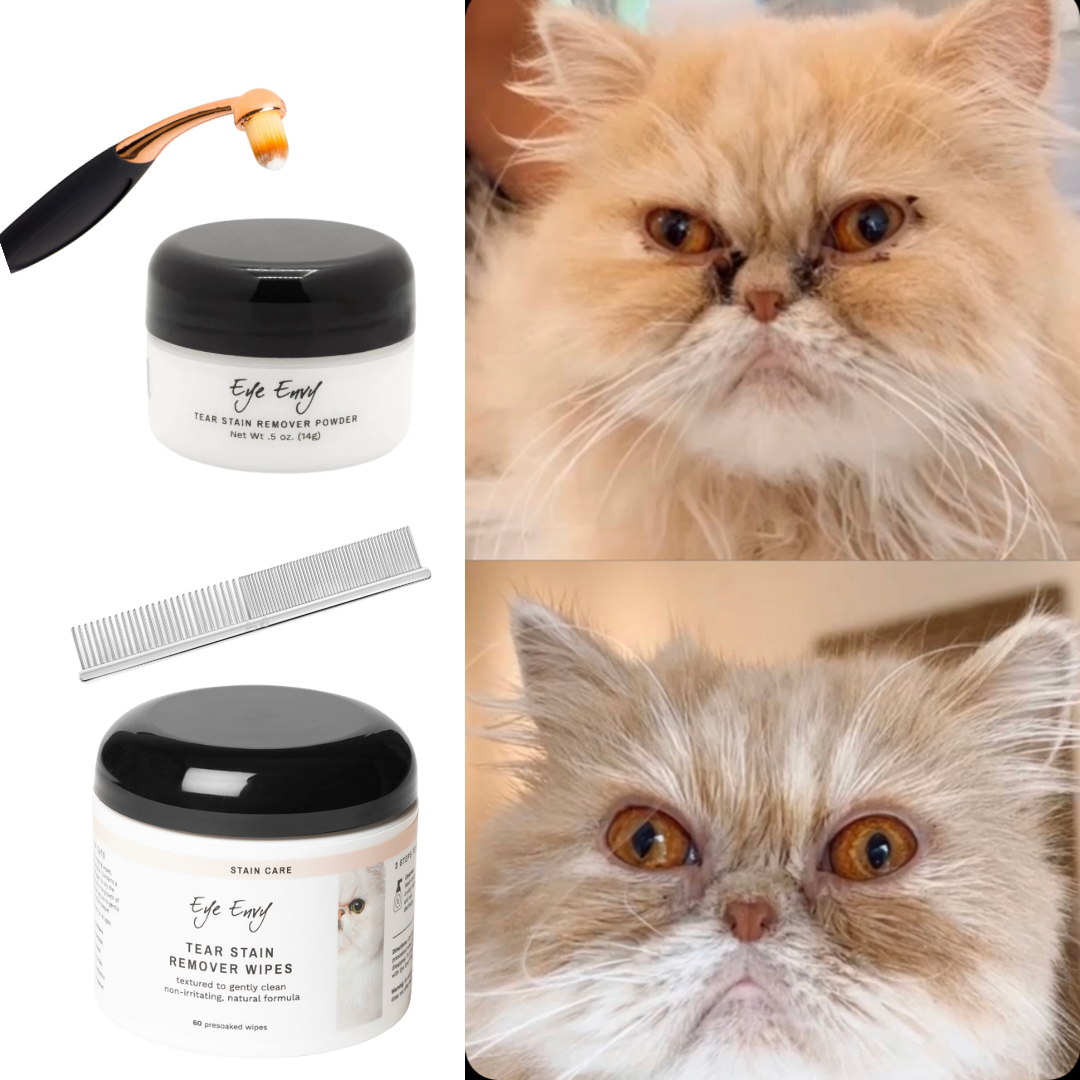 The Persian Cat Bundle
