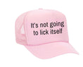 Load image into Gallery viewer, It’s Not Going To Lick Itself Trucker Hat
