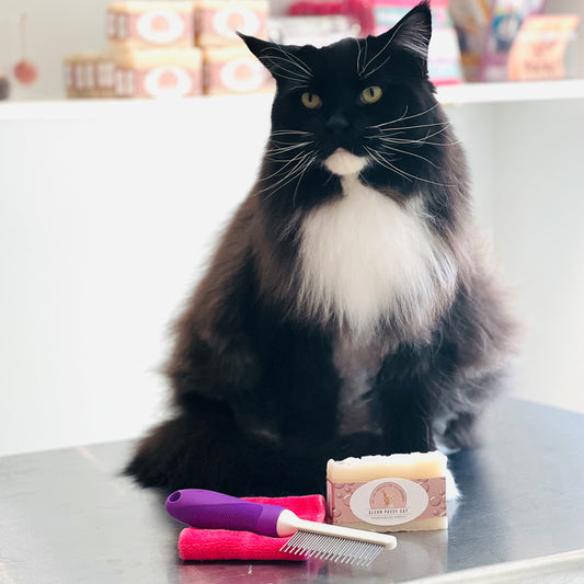 The Kitty Hygiene Kit