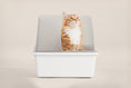 Load image into Gallery viewer, Cubby Litter Box
