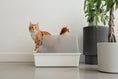 Load image into Gallery viewer, Cubby Litter Box
