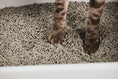 Load image into Gallery viewer, Cubby Litter Box
