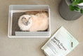 Load image into Gallery viewer, Cubby Litter Box

