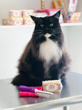 Load image into Gallery viewer, The Maine Coon Bundle
