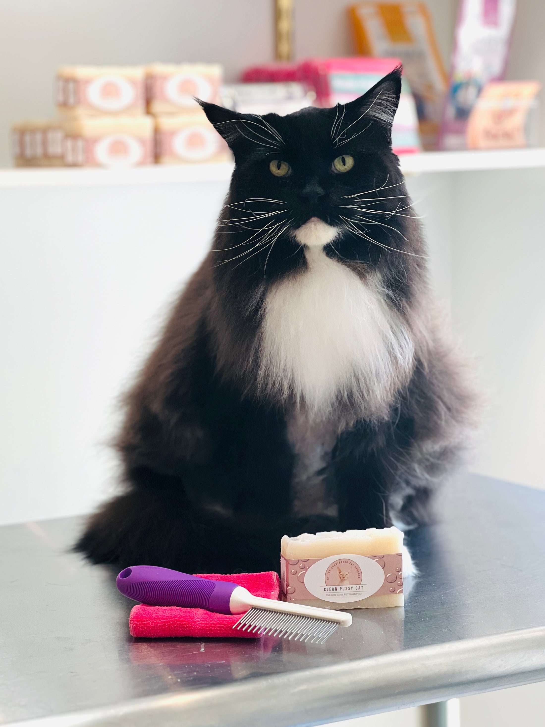 The Maine Coon Bundle