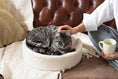 Load image into Gallery viewer, Kip Cat Cushion
