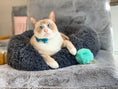 Load image into Gallery viewer, Calming Cat Bed
