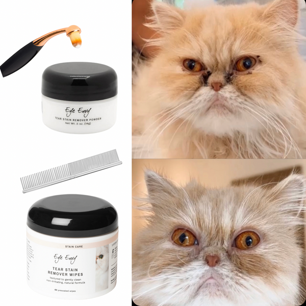 The Persian Cat Bundle – The Charleston Cat Groomer
